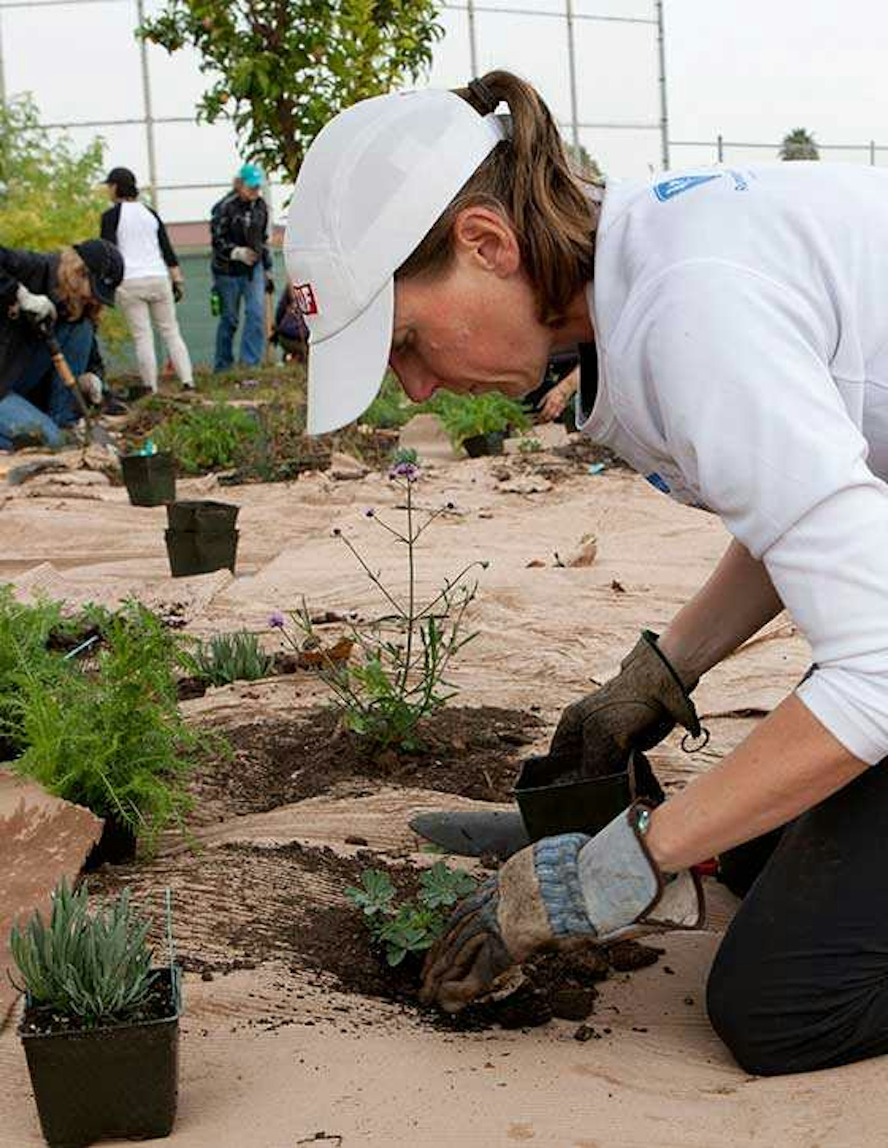 CLIF CORPS volunteer planting